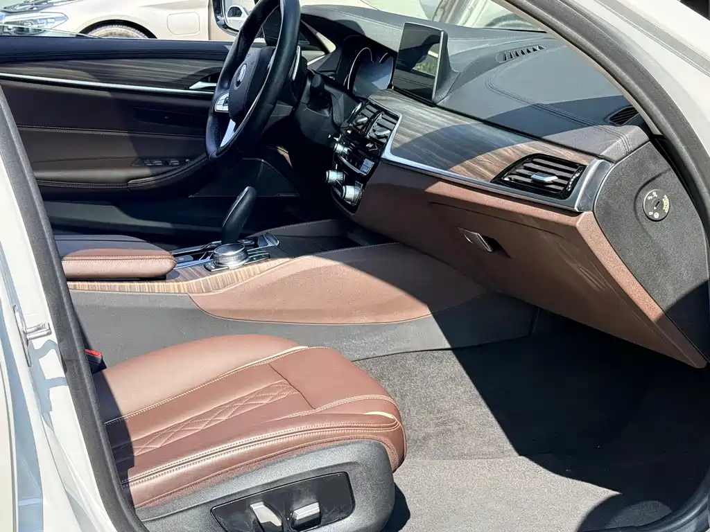 BMW 5 Series 2019 — фото 11