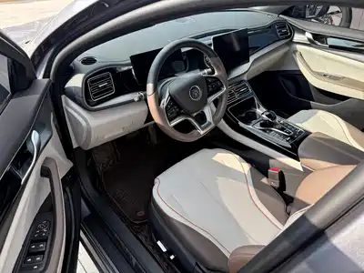 BYD Qin PLUS 2024