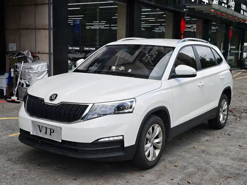 Skoda Kamiq 2021 — фото 1