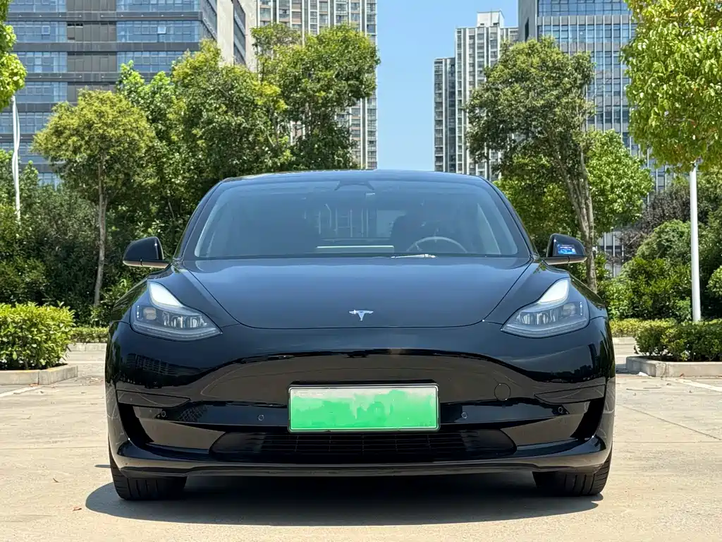 Tesla Model 3 2021 — фото 1