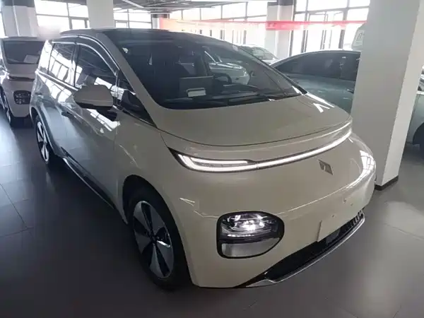 Baojun Yunduo 2024