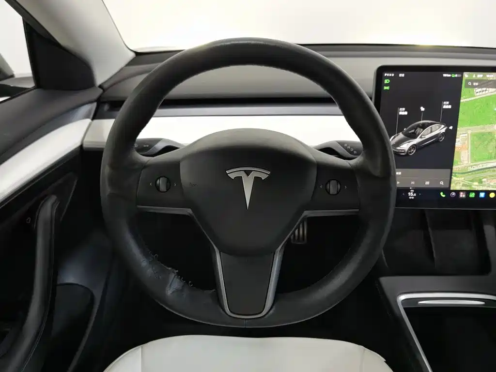 Tesla Model 3 2021 — фото 11