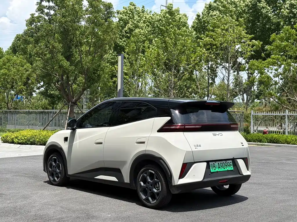 BYD Seagull 2025