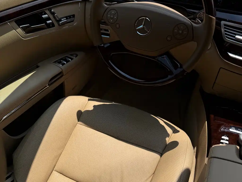 Mercedes-Benz S-Class 2010 — фото 11
