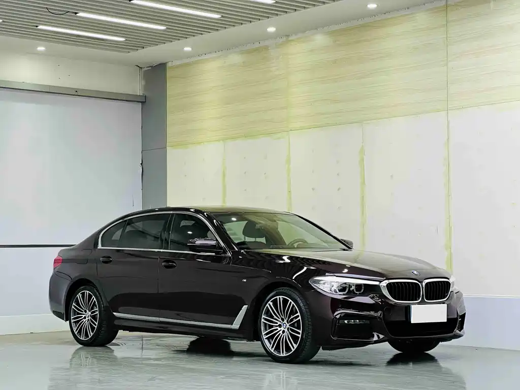 BMW 5 Series 2019 — фото 3