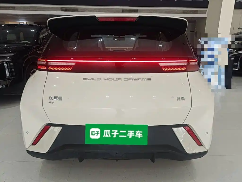 BYD Seagull 2024