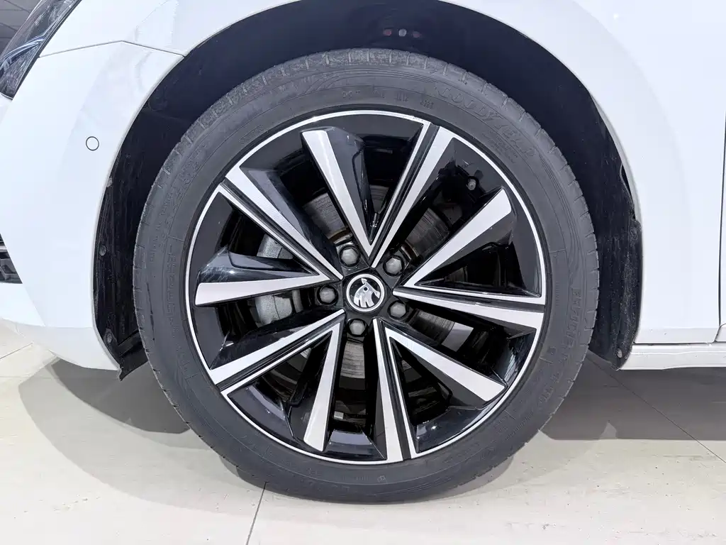 Skoda Speedy 2024 — фото 18