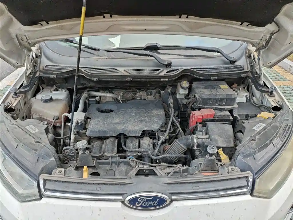 Ford Ecosport 2015 — фото 21