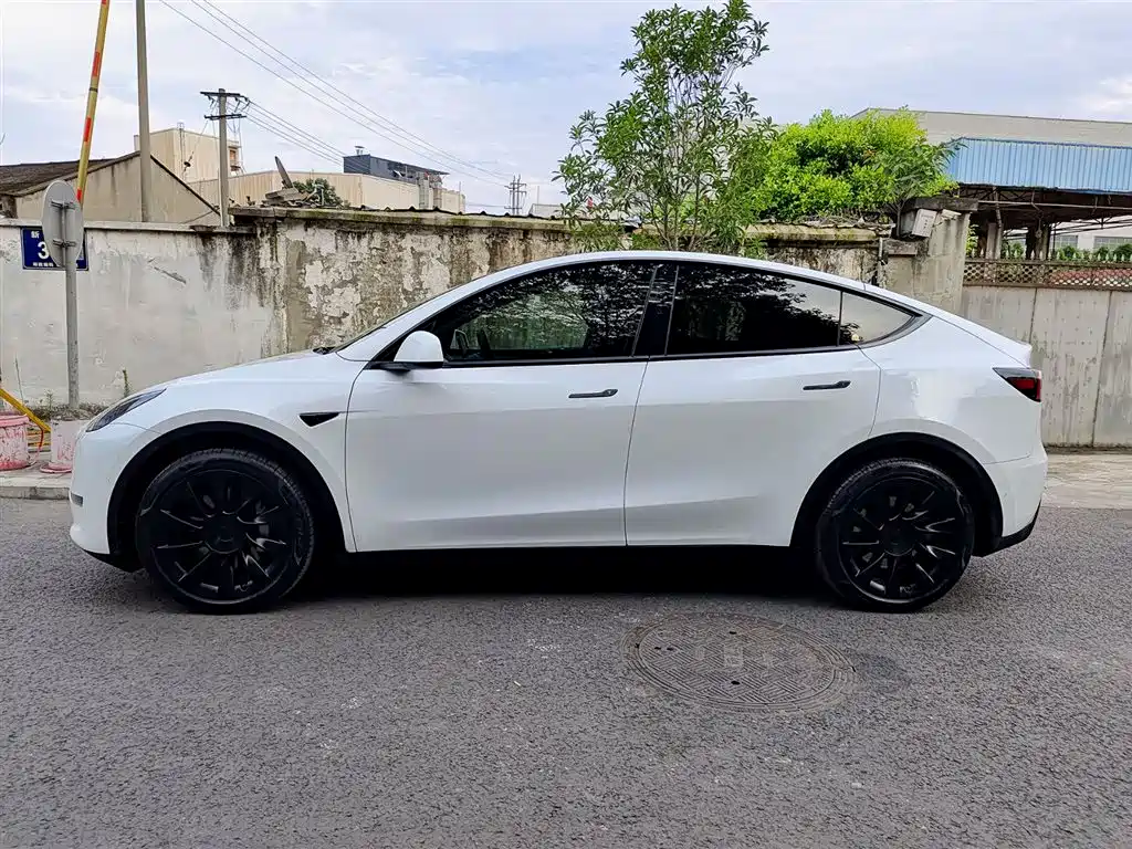 Tesla Model Y 2021 — фото 3