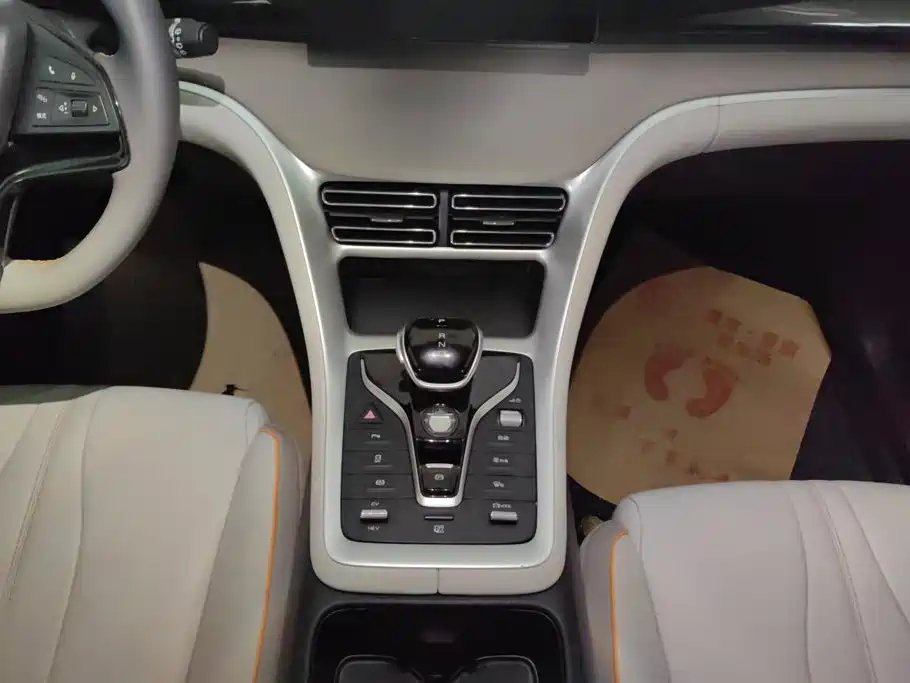 BYD Song Pro New Energy 2024 — фото 16