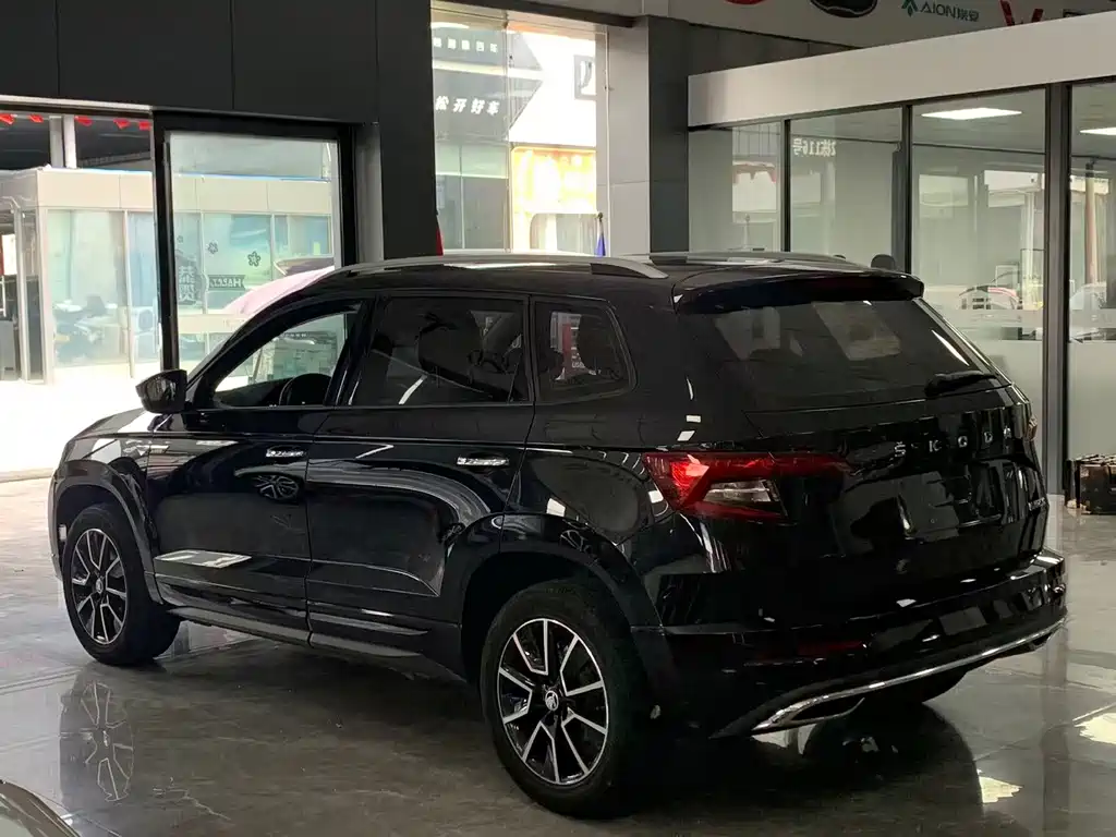 Skoda Karoq 2022 — фото 12
