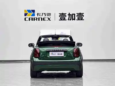 MINI MINI 2025