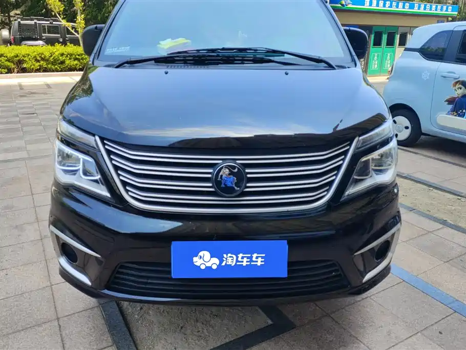 Fengxing Lingzhi 2022