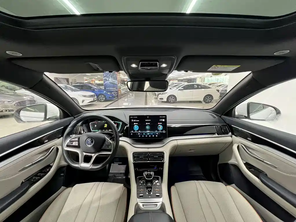 BYD Song PLUS New Energy 2021 — фото 6