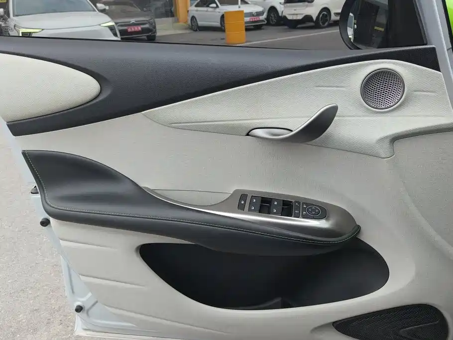 BYD Dolphin 2022