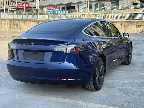 Tesla Model 3 2020