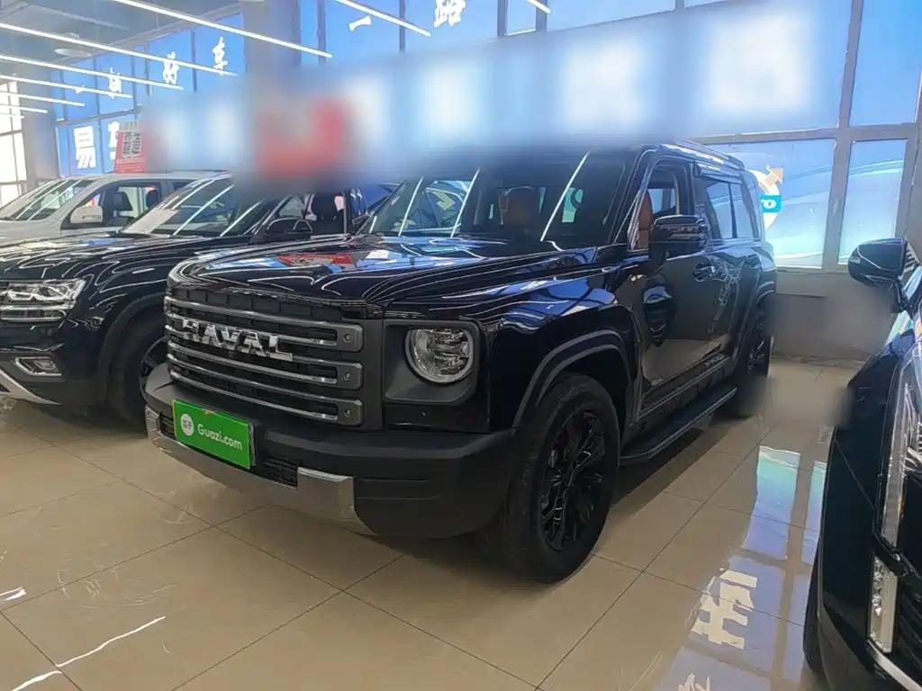 Haval Menglong New Energy 2025