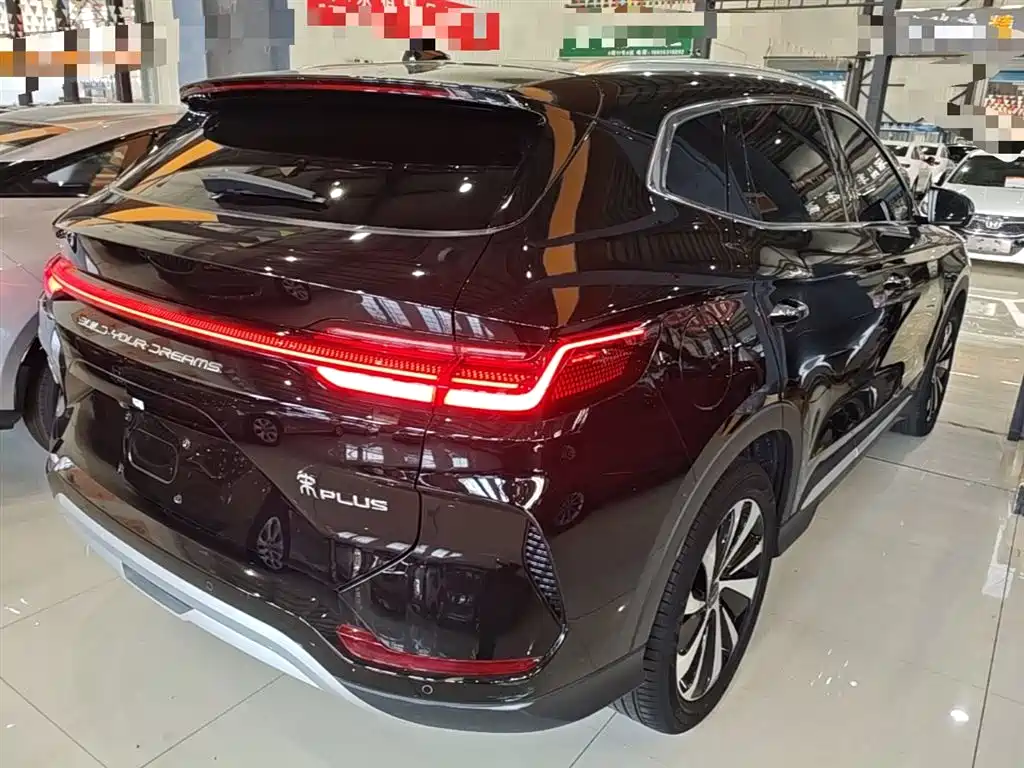 BYD PLUS New Energy 2024 — фото 7