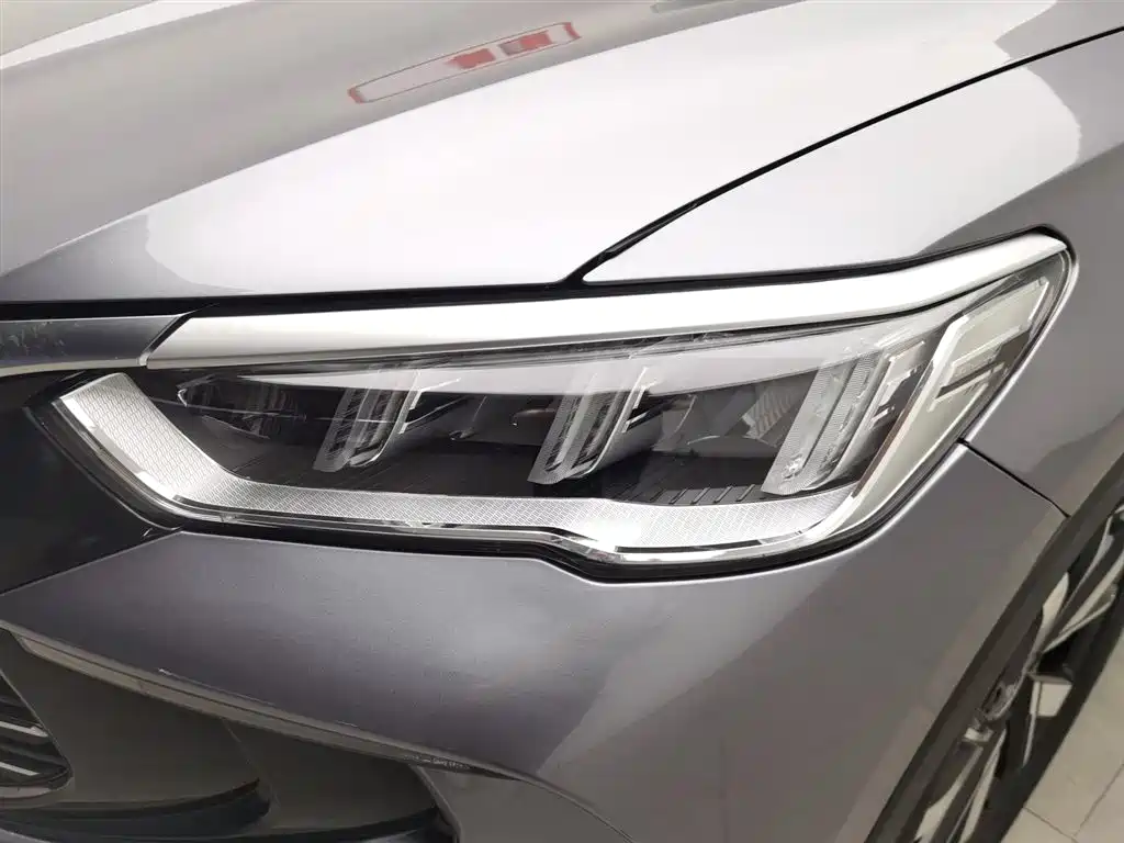 BYD Pro New Energy 2024