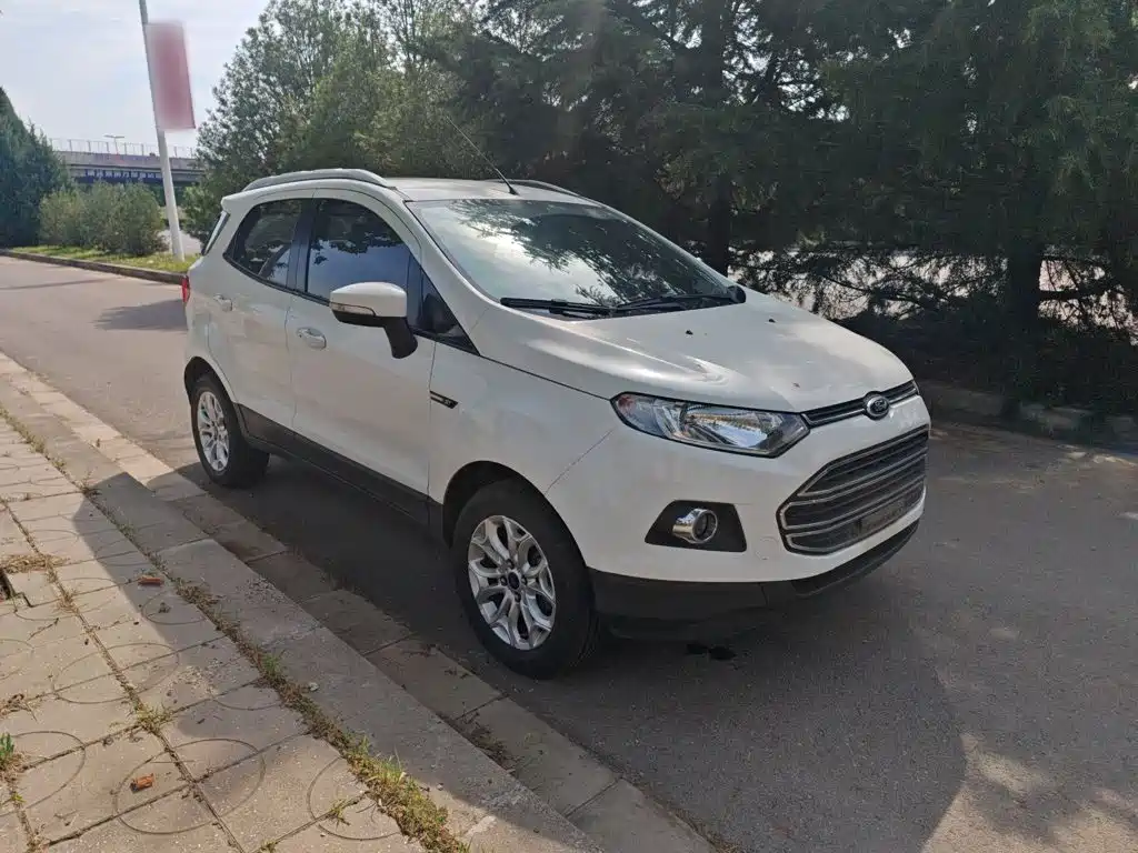 Ford Ecosport 2014 — фото 9