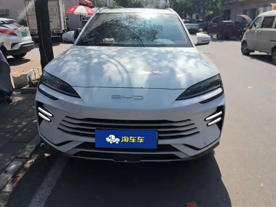 BYD PLUS New Energy 2024 — фото 2