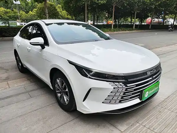 BYD Destroyer 05 2024