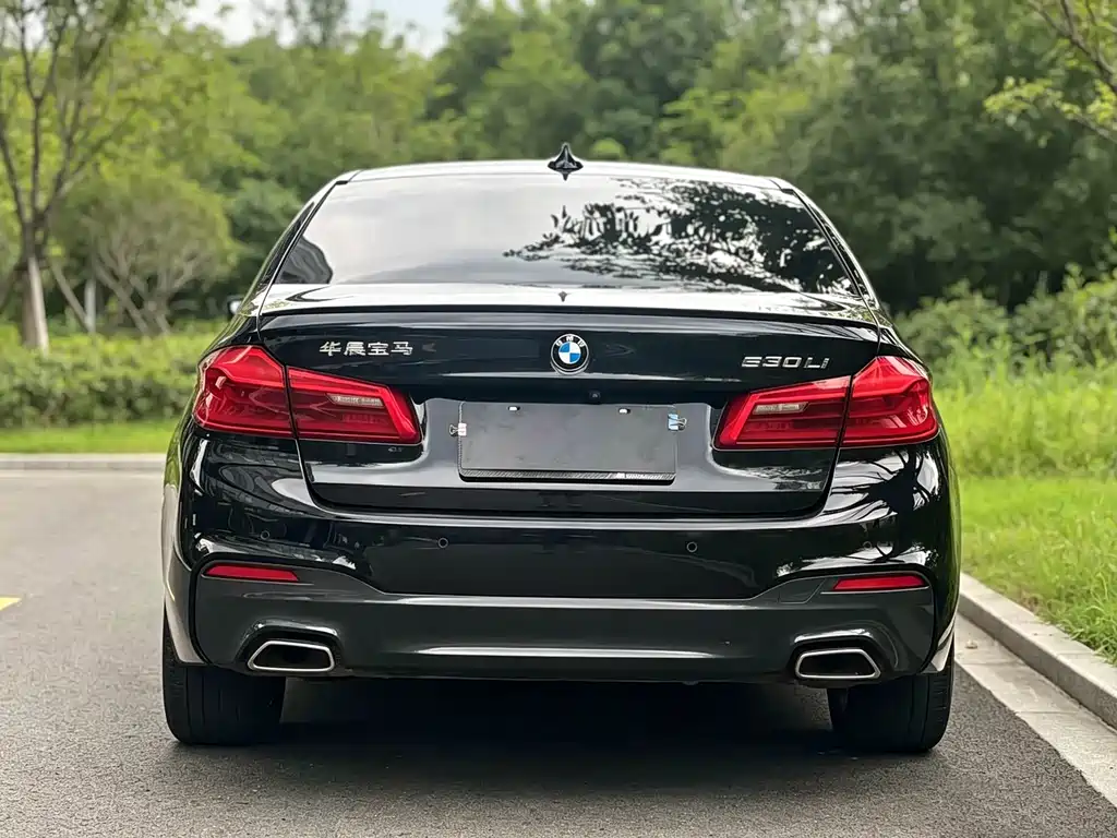 BMW 5 Series 2018 — фото 9
