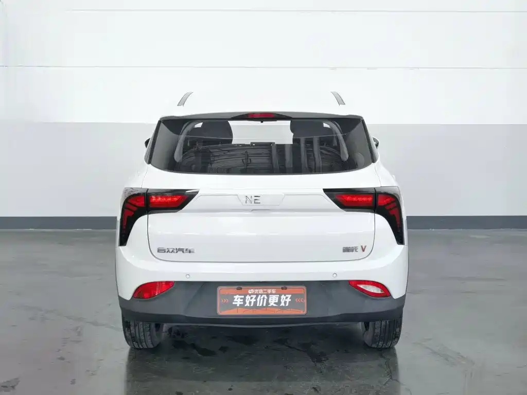 Neta V 2021