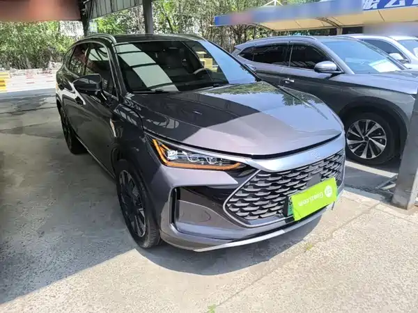BYD Tang New Energy 2024