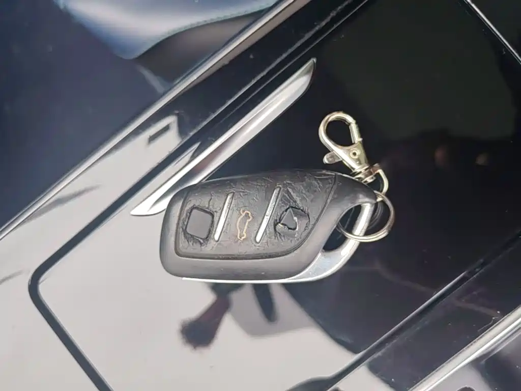 Roewe RX5 MAX 2020 — фото 9