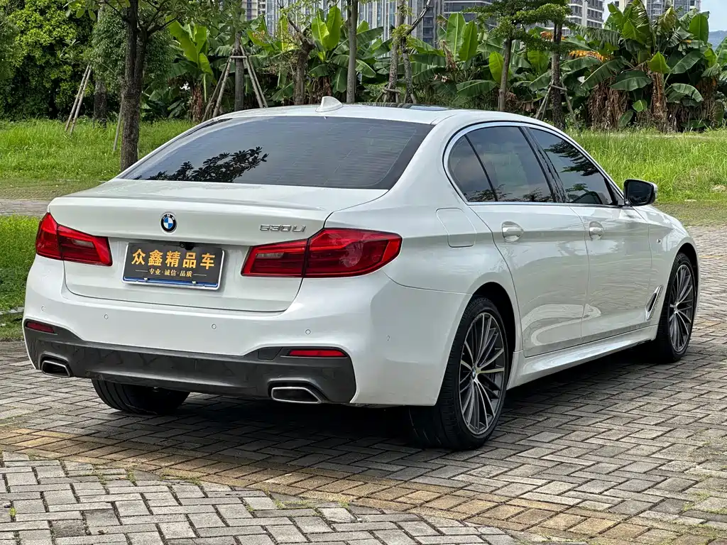 BMW 5 Series 2020 — фото 6