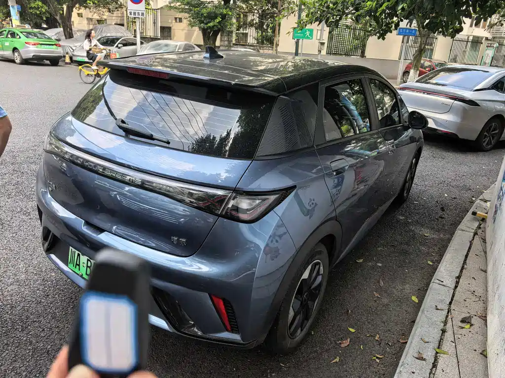 BYD Dolphin 2024