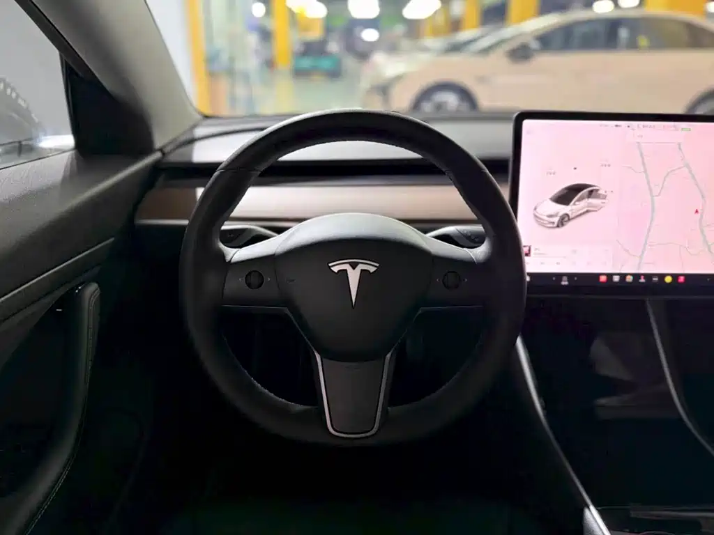 Tesla Model 3 2020 — фото 14