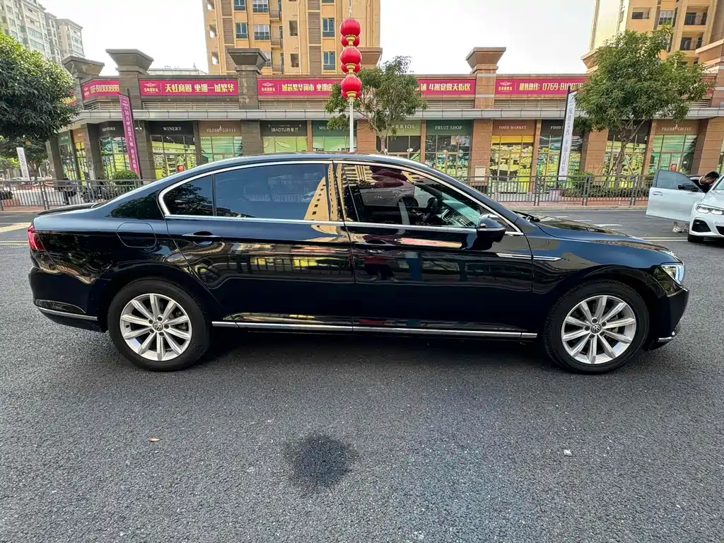 Volkswagen Magotan 2019