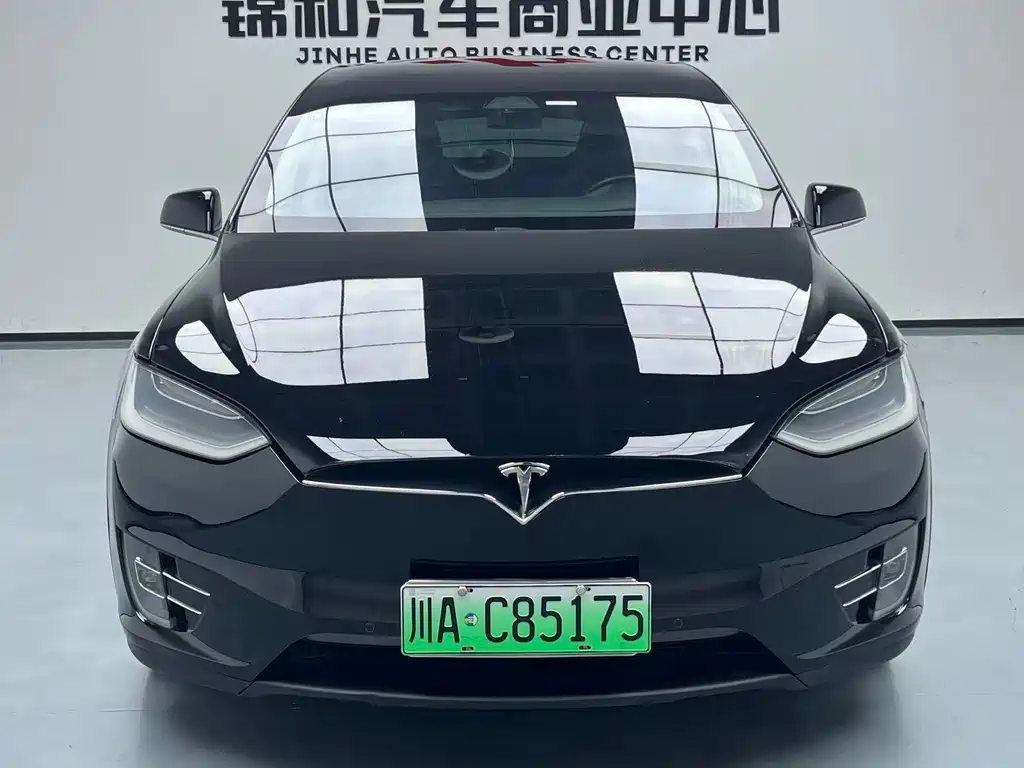 Tesla Model X 2017 — фото 2