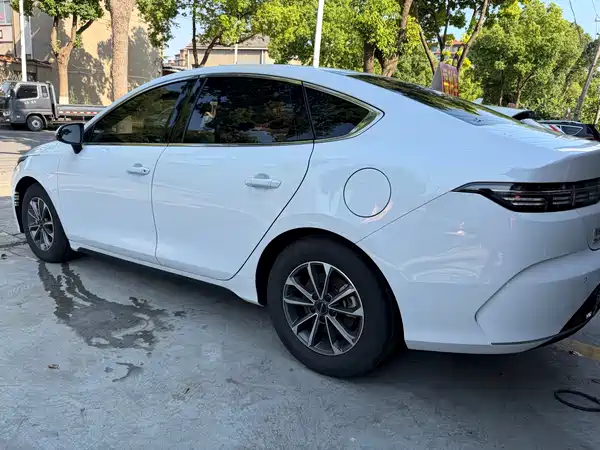 BYD Destroyer 05 2024