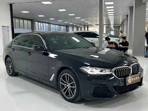 BMW 5 Series New Energy 2022