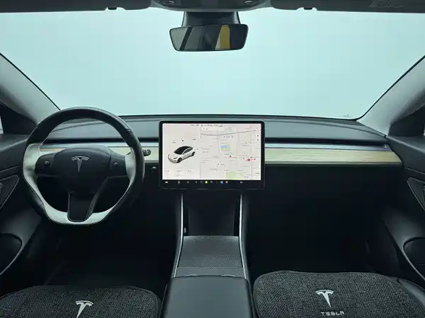 Tesla Model 3 2020