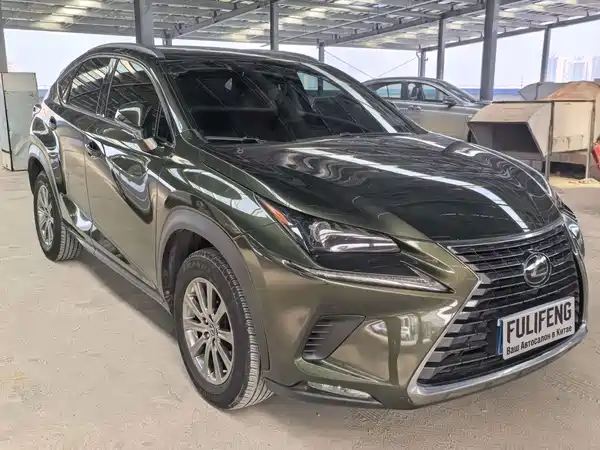 Lexus NX 2020