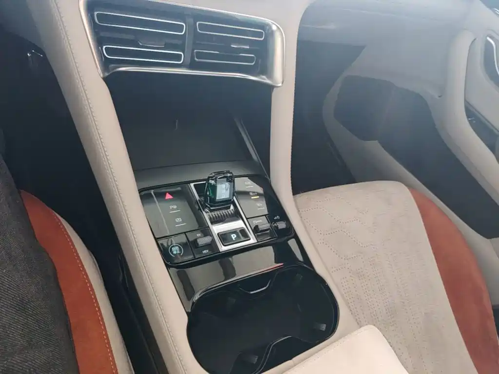 BYD PLUS New Energy 2025 — фото 14