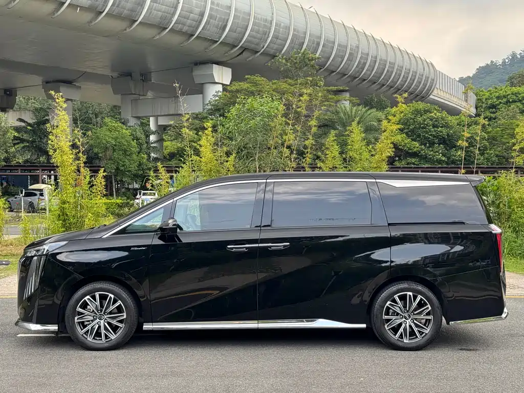 GAC Motor Trumpchi M8 2024 — фото 22