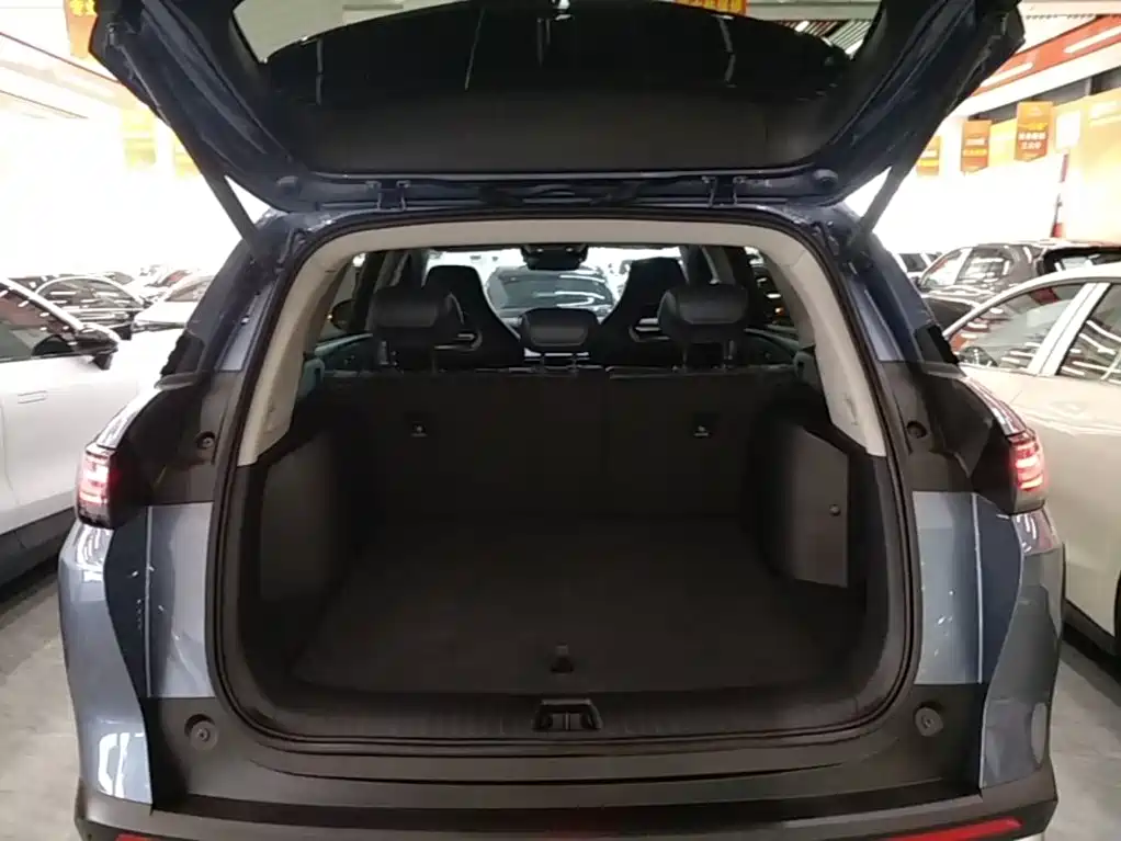 BYD Sealion 07 DM-i 2025 — фото 19