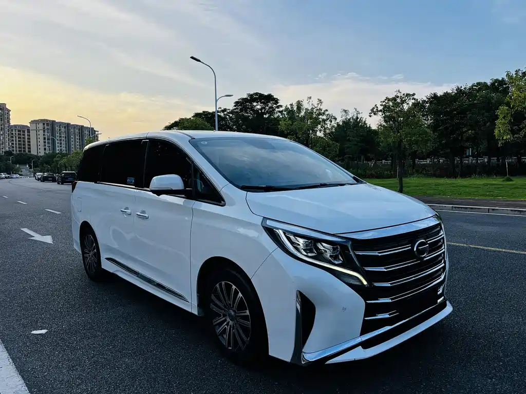GAC Motor Trumpchi M8 2021 — фото 21