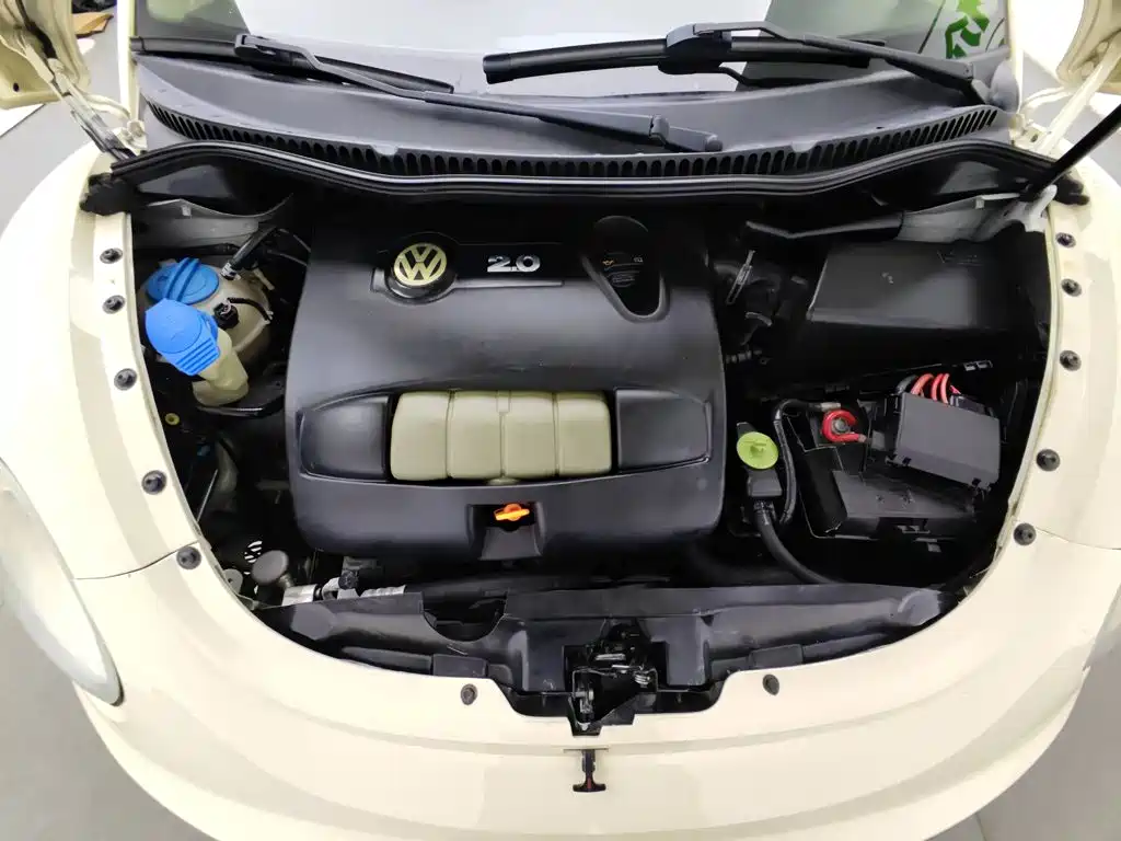 Volkswagen Beetle 2009