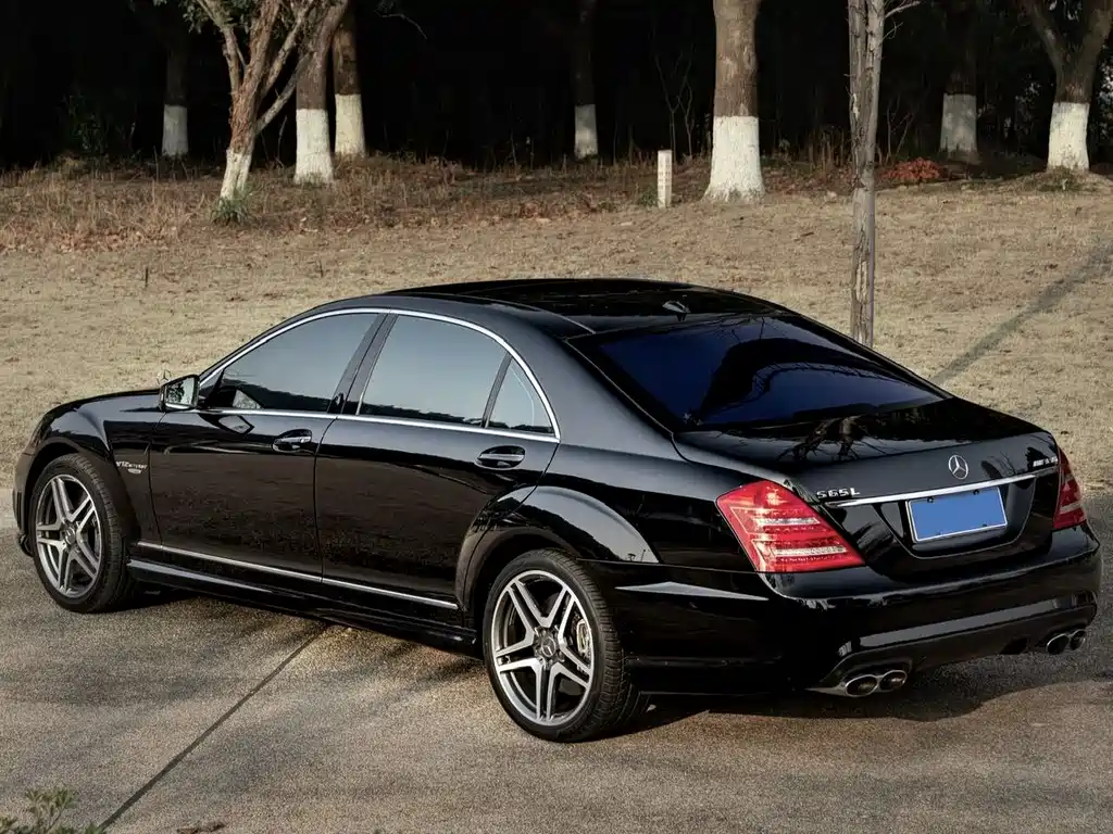 Mercedes-Benz S-Class AMG 2013 — фото 5