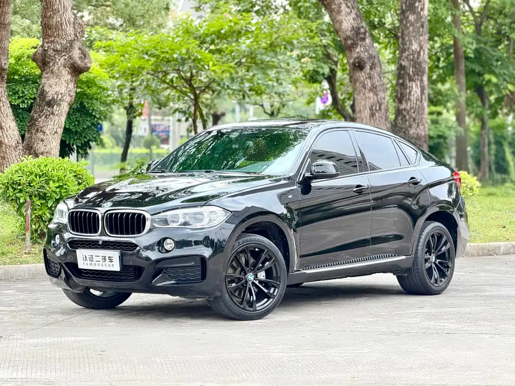 BMW X6 2019 — фото 1