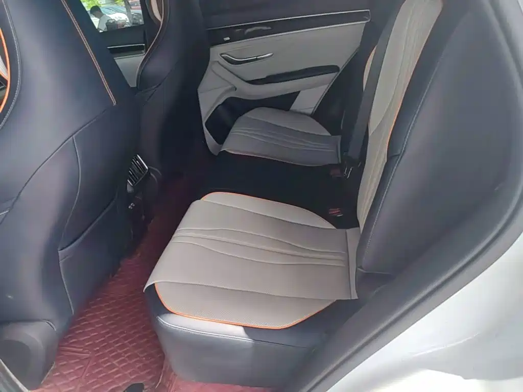 BYD Song PLUS New Energy 2022 — фото 17