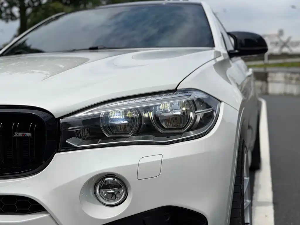 BMW X6 M 2017 — фото 9