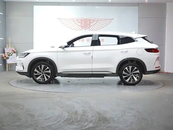 BYD Song PLUS New Energy 2023
