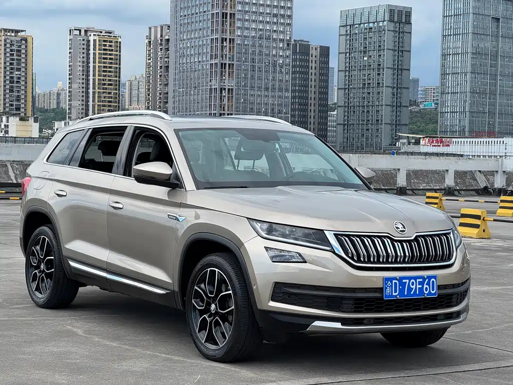 Skoda Kodiaq 2020 — фото 9